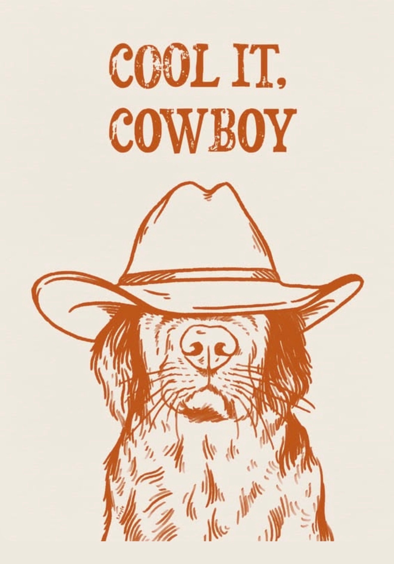 Cool it cowboy illustration